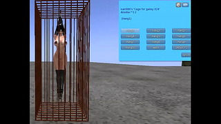 BDSM Cage
